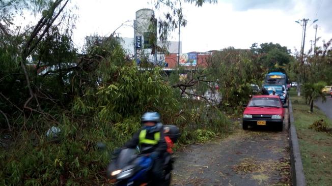 En el oriente de Cali, cerca al Centro Comercial Río Cauca, también hubo problemas por árboles caídos