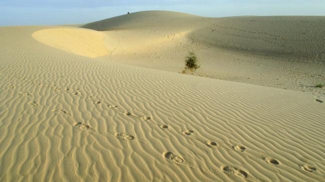 El Sahara se llenaría de vegetación como consecuencia de un cambio en la rotación de la Tierra.