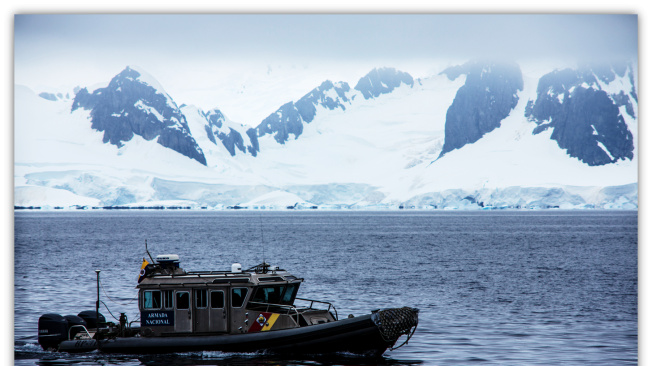 Ballenas, pingüinos y leones marinos fueron algunas de las especies vistas por la tripulación.