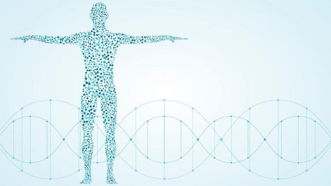 Nuestro ADN tiene el aporte de nuestros padres y también mutaciones totalmente nuevas.