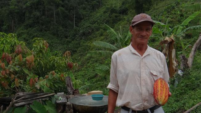 A Rodolfo Díaz siempre le gusto trabajar la tierra. Hoy cultiva cacao, yuca y plátano.