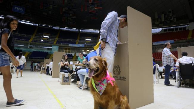 La jornada electoral fue tranquila, y mientras se votaba se aprovechó para sacar a la mascota.
