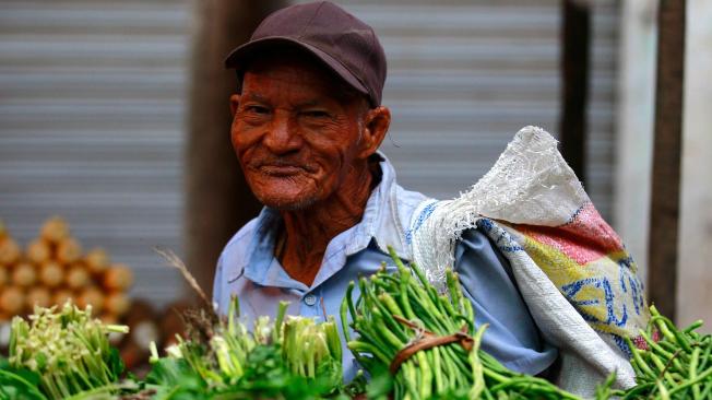 En una cooperativa se han asociado los vendedores de legumbres y hortalizas para tratar que les vaya mejor en la comercialización.