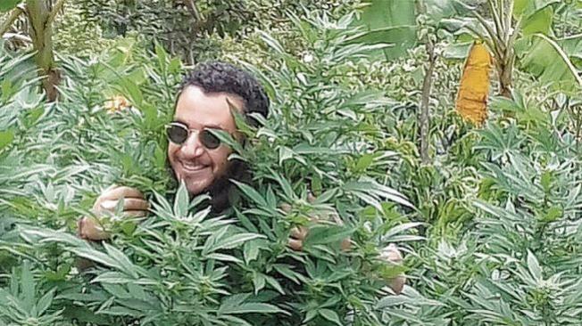 Los extranjeros se sacaban fotos entre los cultivos de marihuana.