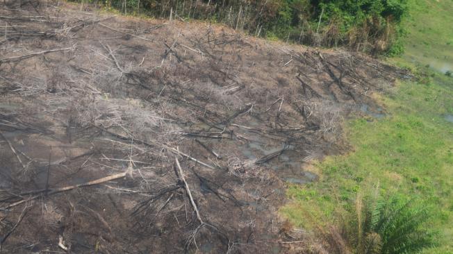 Según el balance, la Corporación Autónoma Regional de la Frontera Nororiental (Corponor) cuantificó ante las autoridades nacionales un área deforestada de 4.092 hectáreas.