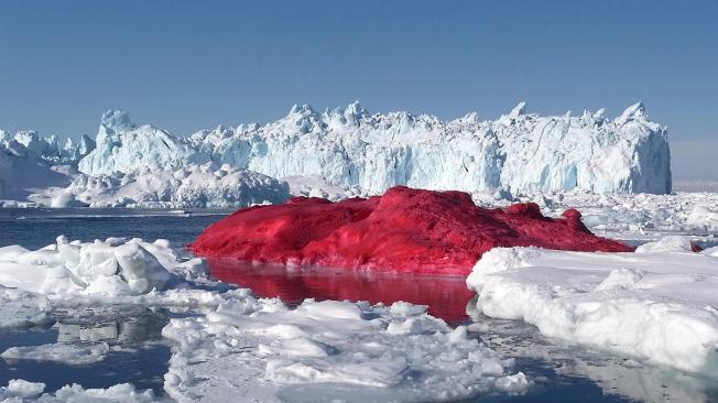 El artista chileno Marco Evaristti pinto un iceberg rojo para producir una escultura titulada, 'El Proyecto del Cubito de hielo', en el Fiordo de Ilulissat, Groenlandia.