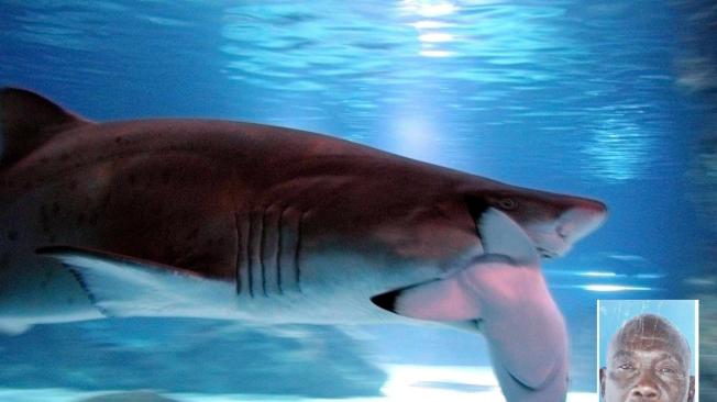 El ataque, según información de los familiares, fue perpetrado por un tiburón tigre. No obstante, esta versión no ha sido confirmada por las autoridades.