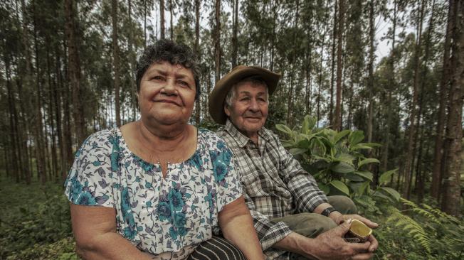 Doña Fanny y don Gentil llevan 47 años de matrimonio. En su finca han plantado 3.000 árboles de eucalipto.
