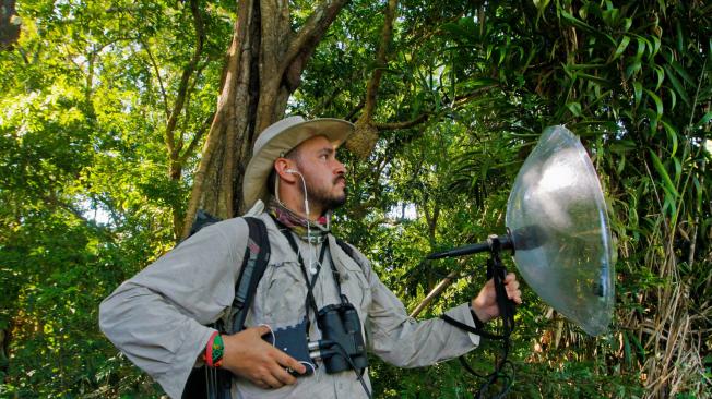 Con equipos especiales, investigadores captan sonidos de animales en los bosques