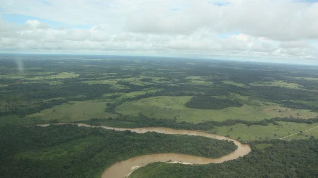 Fragmentación del bosque alrededor del río Losada, en el PNN Tinigua.