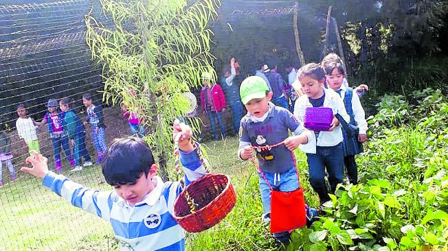 Los más pequeños hacen la huerta escolar y actividades ecológicas en la sede de Tenjo de la institución.