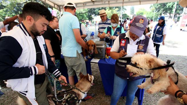 El Centro de Zoonosis de la Secretaría de Salud Municipal hizo presencia con una jornada gratuita de vacunación contra la rabia y desparasitación para caninos y felinos.