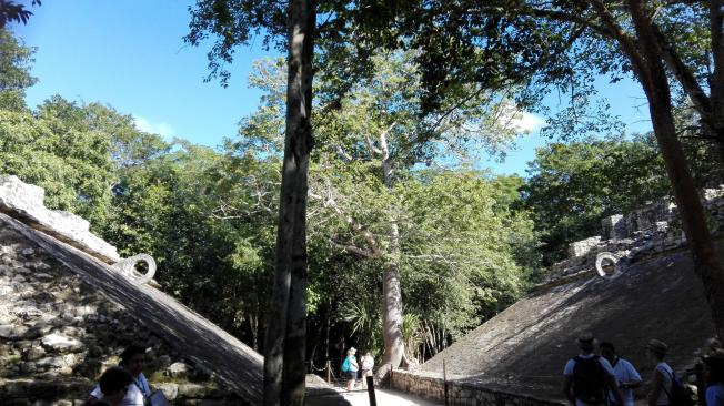 Varias pirámides del parque arqueológico Cobá tienen argollas que eran usadas por los mayas en el juego de la pelota.