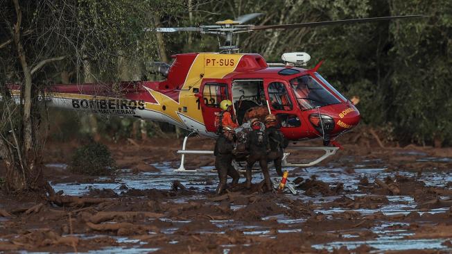 Bomberos sacan un cuerpo durante las labores de búsqueda y rescate de las víctimas de la rotura de represa de la compañía Vale, en Brumadinho, municipio de Minas Gerais (Brasil). El número de muertos se elevó a 58 y los desaparecidos ascendieron a 305.