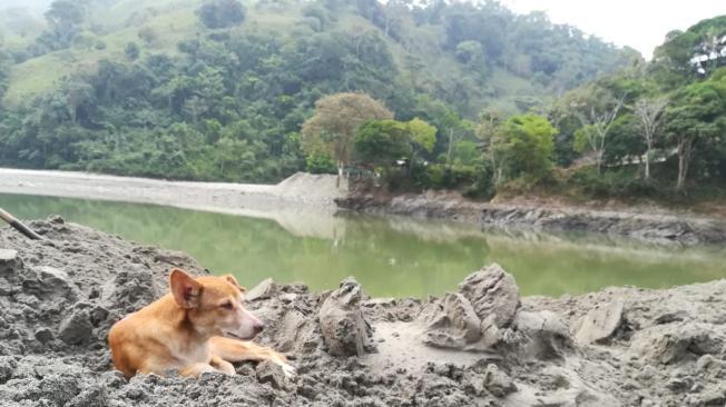 Sequía en el río Cauca