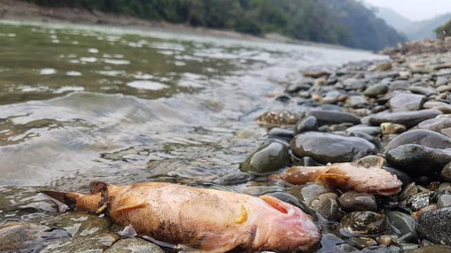 sequía en río Cauca