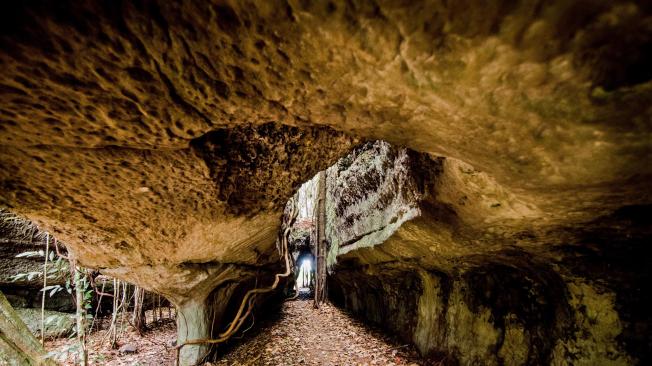 Viaje por las grutas fascinantes del país a través del libro de fotografías 'Cavernas de Colombia'.