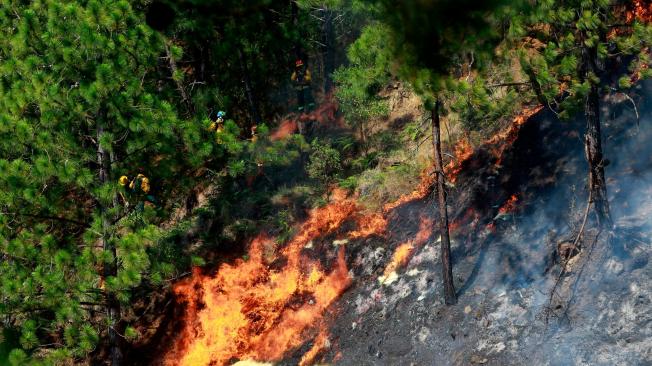 El área afectada por incendios forestales en el cerro Quitasol equivale a 483 veces el área de la cancha del estadio Atanasio Girardot