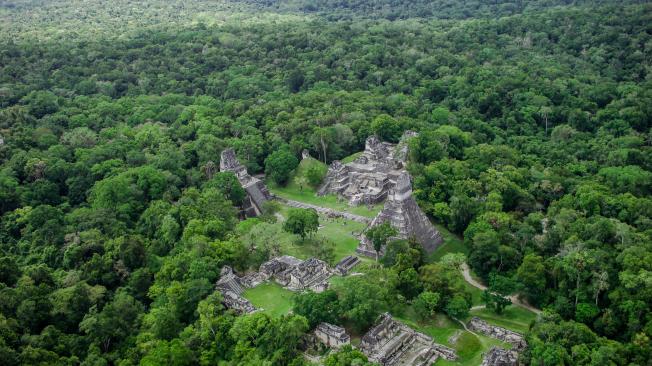 Panorámica del parque arqueológico de Tikal en medio de la selva.