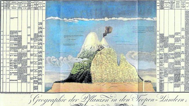 ‘Naturgemälde’, uno de los aportes más importantes de Humboldt a la cartografía. Es una clasificación de la flora según su piso térmico. Tamaño: 90 × 60 cm.