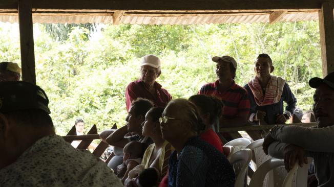 De acuerdo con habitantes de distintos municipios de Meta y Guaviare, hoy no tienen condiciones para poder subsistir cultivando productos diferentes a la coca.