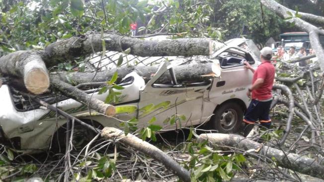 Un árbol se precipitó sobre dos vehículos, que se movilizaban hacia la región del Catatumbo, y dejó un saldo preliminar de cinco muertos y cuatro heridos.