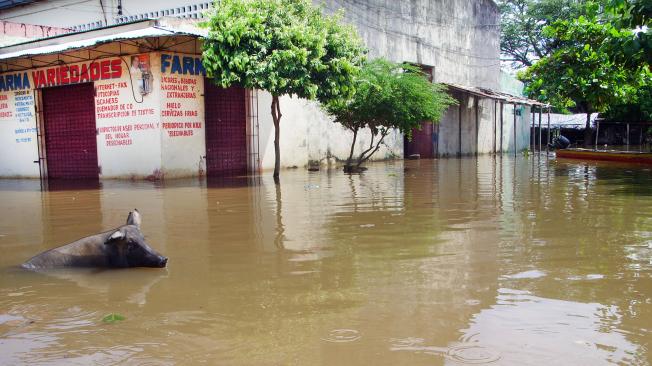 De acuerdo con el Ideam, más de la mitad de los municipios del territorio nacional presentan algún tipo de alerta por riesgo de deslizamientos o de inundaciones.