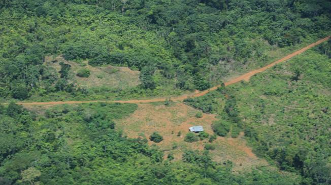 Amazonia