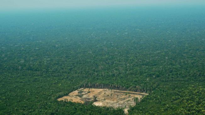 El agro, responsable ne gran medida de la deforestación,  genera cerca del 25 por ciento del PIB nacional, y fue el sector que más impulsó la campaña de Bolsonaro.
