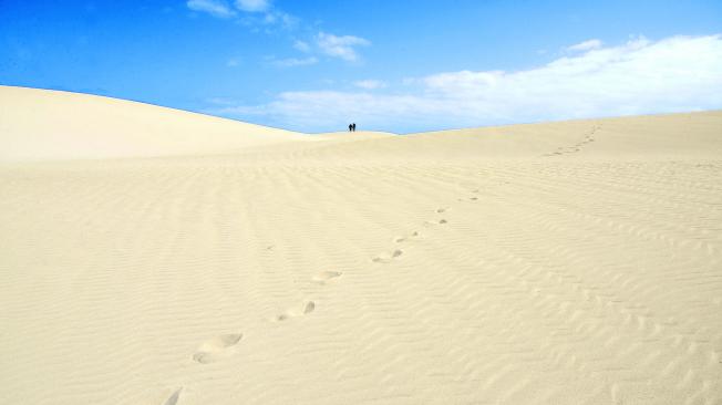 Las dunas hacen parte del Parque Natural de Corralejo. Tiene más de 2.600 hectáreas.