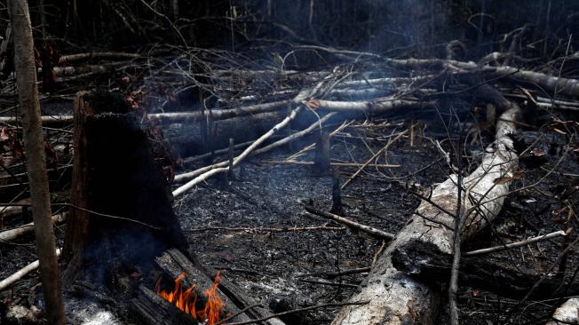 Incendio forestal en el Amazonas