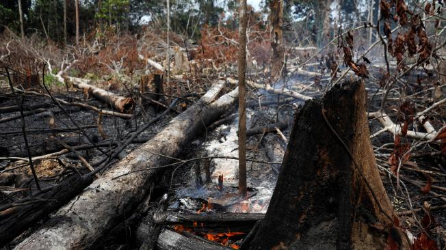 La devastación que ocasionan los incendios en la Amazonia de Brasil.