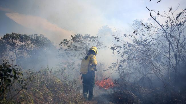 De nuevo el cerro sufre un devastador incendio forestal en el que más de 80 hectáreas de vegetación se consumieron. Algunos focos se han vuelto activar, por lo que los Bomberos Voluntarios de Cali tuvieron que llegar al lugar en compañía del Bambi Bucket de la Fuerza Aérea.