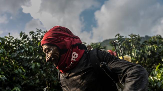 Este año cerró con alrededor de los 14,3 millones de sacos de cosecha.