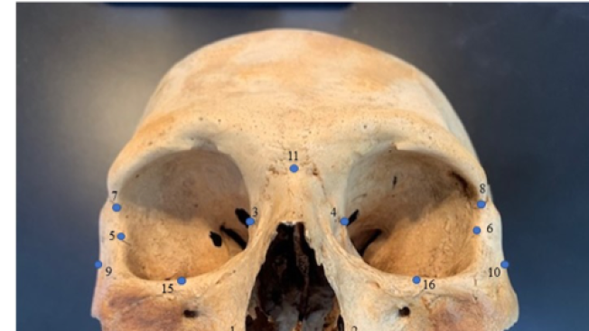 Utilizando análisis equivalentes al reconocimiento facial, los investigadores analizaron los cráneos de los primeros habitantes del Caribe, descubriendo las relaciones entre los grupos de personas y poniendo al descubierto antiguas hipótesis sobre cómo las islas fueron colonizadas por primera vez.