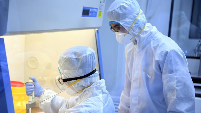 Investigadores esperan probar en 40 días una vacuna que frene el coronavirus en el país.