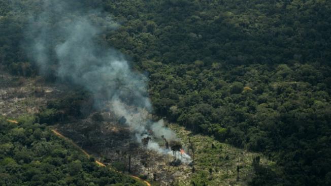 Incendio observado en la selva colombiana en marzo
del 2020.
