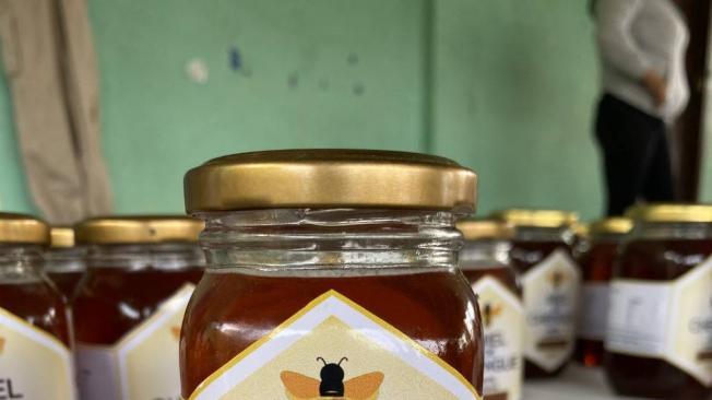 En su primera producción, las familias recolectaron más de una tonelada de miel, que comercializan en la zona.