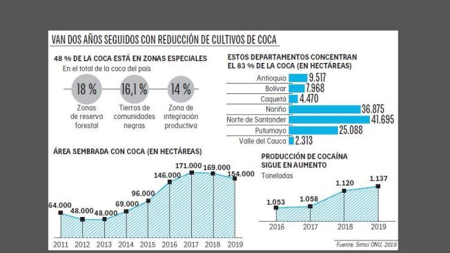 El año pasado, al igual que en 2018, hubo una reducción de los cultivos de coca en el país.