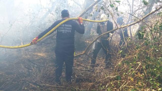 Los 12 bomberos del municipio de Sitionuevo intentan, desde hace dos semanas, controlar el incendio forestal