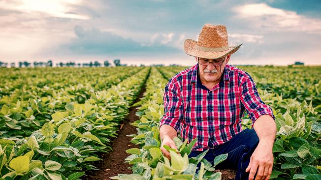 Desafíos y oportunidades del sector agropecuario en América Latina y el Caribe