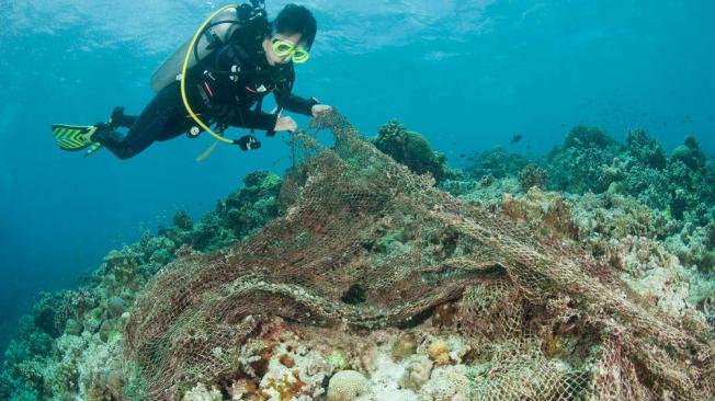 Retiran las redes de pesca perdidas en el mar para proteger los fondos  marinos