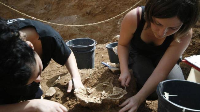 El estudio, liderado por Israel Heshkovitz, documenta los restos fósiles (un fragmento de hueso parietal de un cráneo y una mandíbula casi completa) de unos 130.000 años hallados en el yacimiento de Nesher Ramla. En la foto, excavación de un hueso fósil de un gran animal en Nesher Ramla.