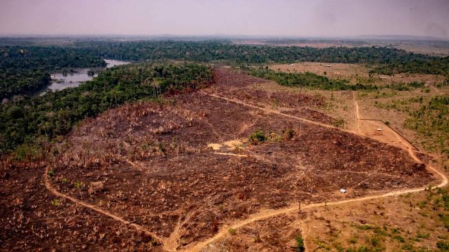 Deforestación en Mato Grosso en agosto del 2019