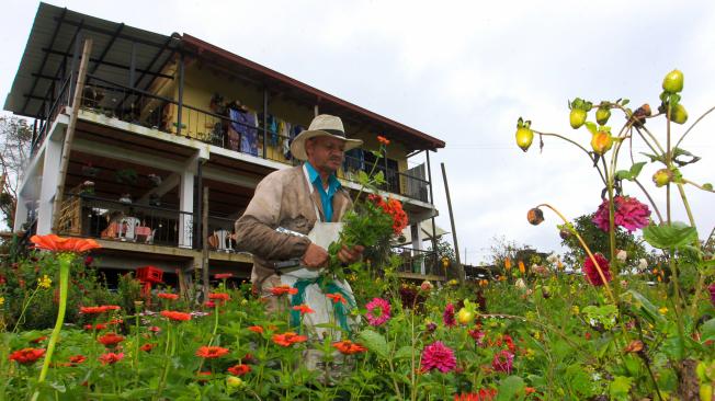Don Joaquín tiene su jardín en la vereda Barro Blanco, de Santa Elena