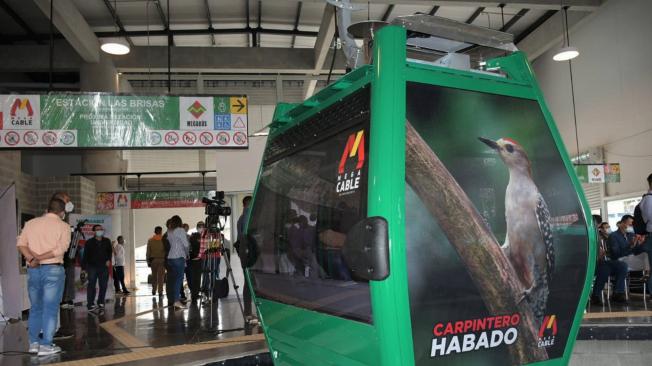 Las cabinas del sistema de transporte lucen imágenes de 12 especies de aves populares.