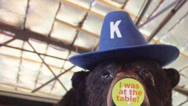 Después de deambular por varios años, el cuerpo del oso fue a dar en una particular tienda de Kentucky