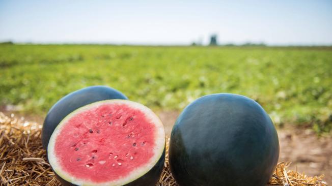 ¿Cómo se le llama a la sandia en otros países?