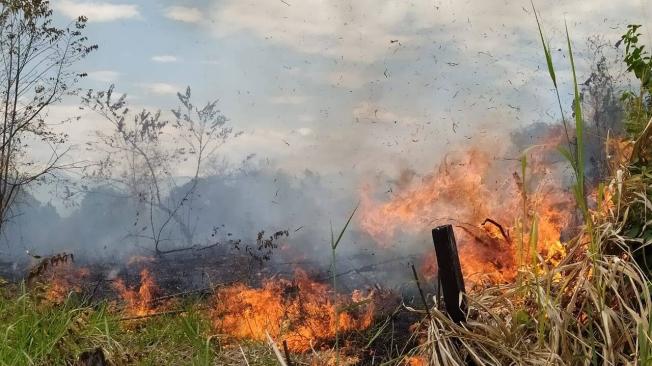 Así avanzan los incendios forestales en 7 municipios de Huila.