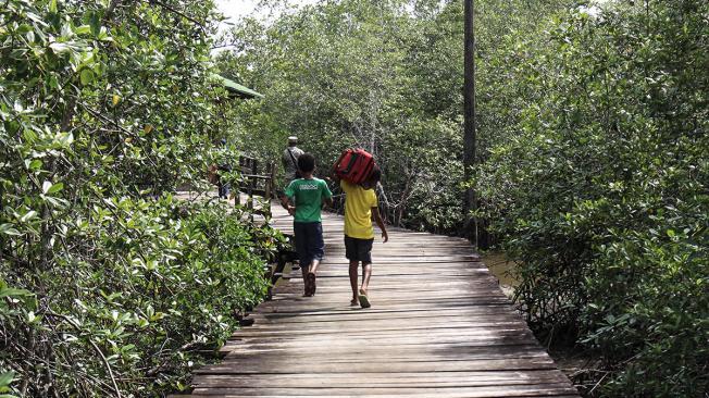 Para acceder a Bahía Cupica hay que caminar por un puente de madera de unos dos kilómetros.